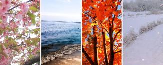 Images reprenting spring, summer, fall, and winter