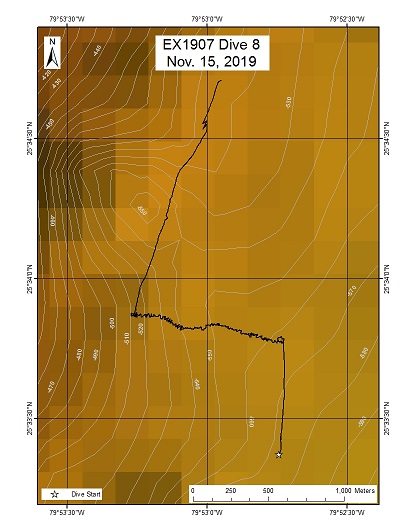 Dive Track