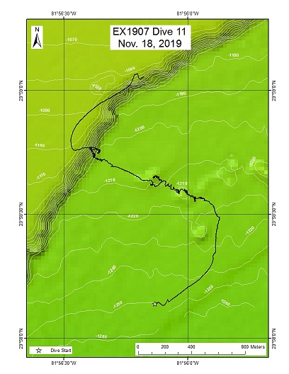 Dive Track